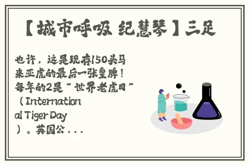 女儿今夜